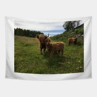 Scottish Highland Cattle Cow and Calf 1451 Tapestry