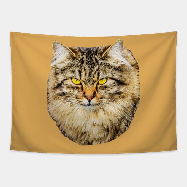 Cats face Tapestry by dalyndigaital2@gmail.com