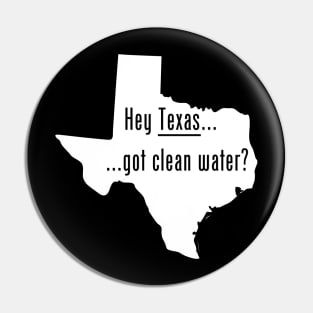 Texas - Got Clean Water Pin