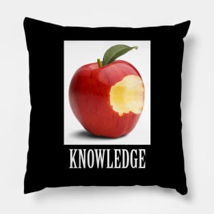 Knowledge Pillow