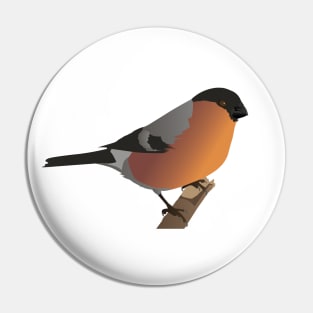 Bullfinch Bird Pin