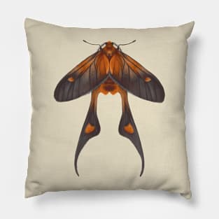 Long tail burnet moth Pillow