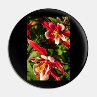 Red Columbine Pin