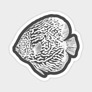 Pompadour or Discus Fish - aquarists detailed fish design Magnet