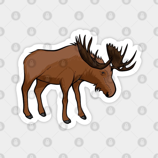 Moose Magnet by Sticker Steve