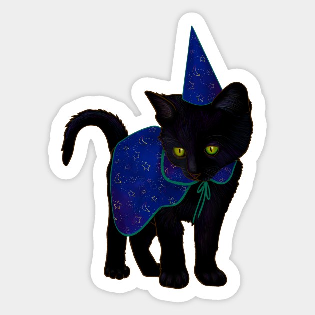 cat wizard costume