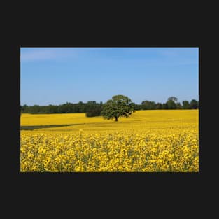 Rapeseed field T-Shirt