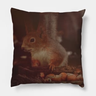 Squirrel in the feeder Pillow