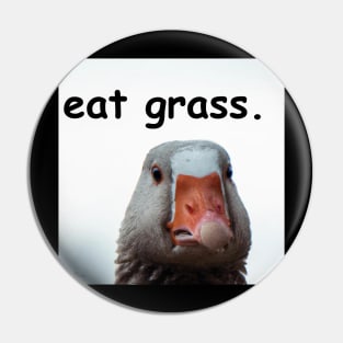 eat grass. Pin