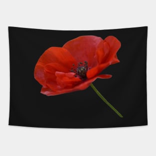 Single Red Poppy Flower Tapestry