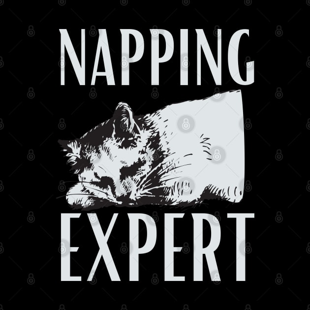 Napping expert by NomiCrafts