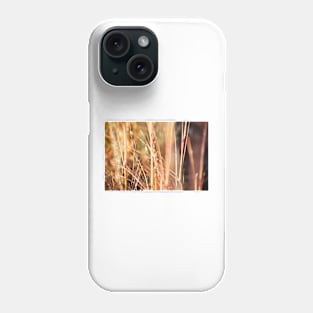 Nature in abstract - dry grass with delicate small blue flower Phone Case