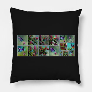 Butterflies and bottlebrush Pillow