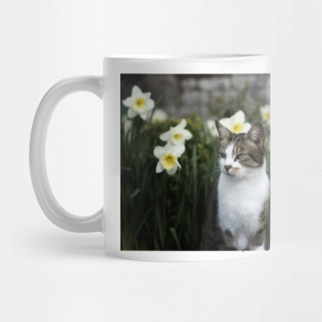 Limited Edition Exclusive Cat And Daffodils Cat And Daffodils