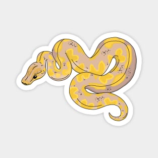 Banana ball python Magnet