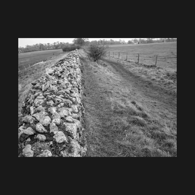 Ancient stone wall on historical Roman camp in rural Norfolk, UK by yackers1