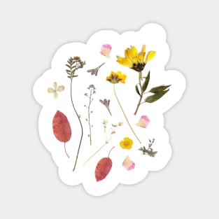 Pressed flowers Magnet