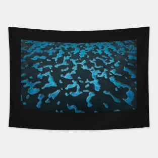 Lake of Bioluminescence Tapestry