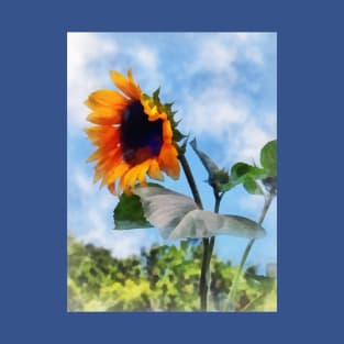 Sunflower Against the Sky T-Shirt