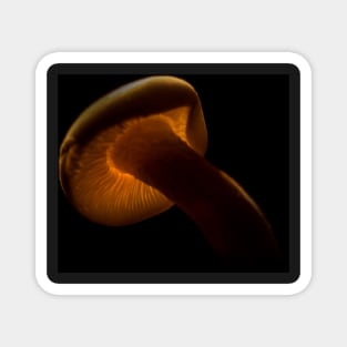 Mushroom Macro Glow Magnet