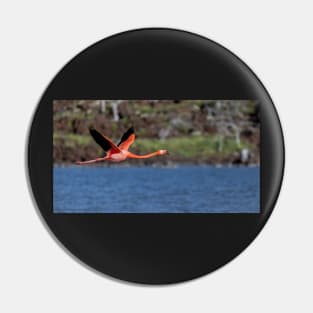 Galapagos Islands Flamingo Pin