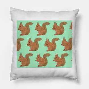 Amazing Red Squirrel Pillow