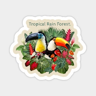 Amazon plants and toucan birds. Magnet