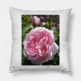 Pink Rose Flower Pillow