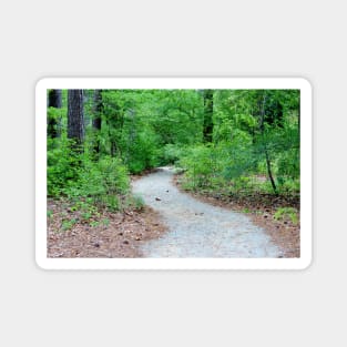 Path Through The Woods Magnet