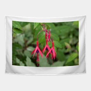 Red fuchsia flowers with leaves in the background Tapestry