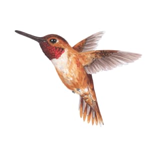 Hummingbird T-Shirt