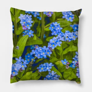 Forget-me-not, blue, tender flowers Pillow