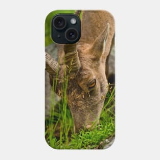 Ibex Phone Case