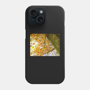 Colorful Fall Tree, Yellow, Gold, Rust Colored Leaves: Photograph Leaves Artful Autumn Phone Case