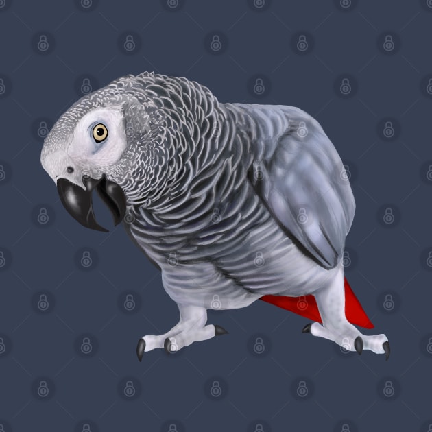 African Grey Parrot by Mehu Art