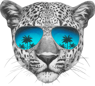 Leopard with sunglasses Magnet