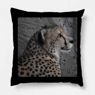 Cheetah Pillow