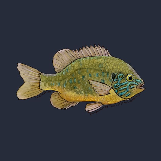 Pumpkinseed Fish Watercolor by mernstw