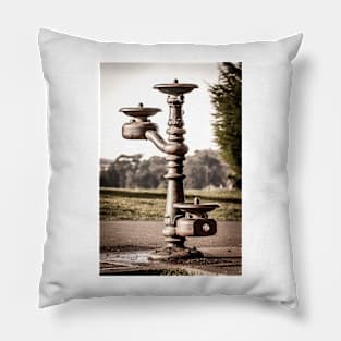 Classic Water Fountain 1 Pillow