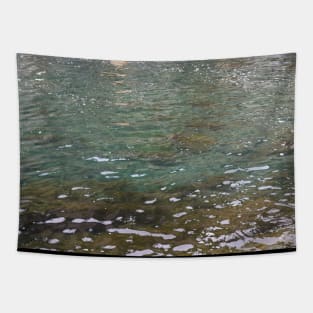 Shallow Ocean Water, Sea Weed, Nature Photography Tapestry