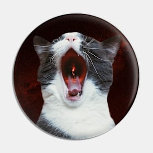 Hungry cat Pin