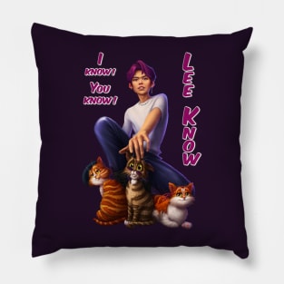 I know, you know, Lee Know Pillow