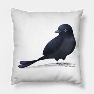 Black Drongo Bird Pillow