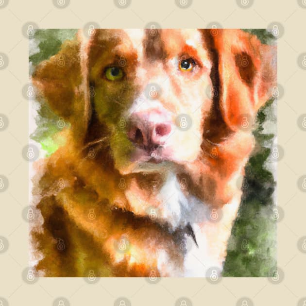 Nova Scotia Duck Tolling Retriever Watercolor - Dog Lover Gifts by Edd Paint Something