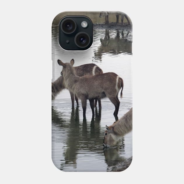 My African Safari - Waterbuck by the water Phone Case by kimbo11