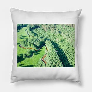 Aerial view of canoes on Marycha river on a sunny day Pillow