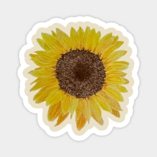 Sunflower Drawing Magnet