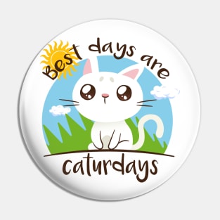 Best Days Are Caturdays Summer Pin