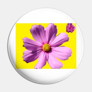 Pink Cosmos Daisy Flower on Yellow Pin