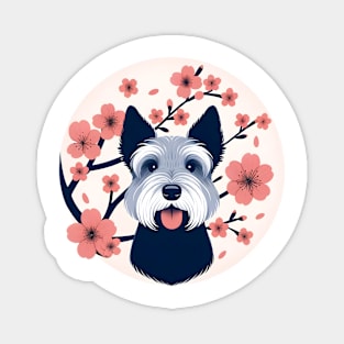 Cesky Terrier Celebrates Spring with Cherry Blossoms Magnet